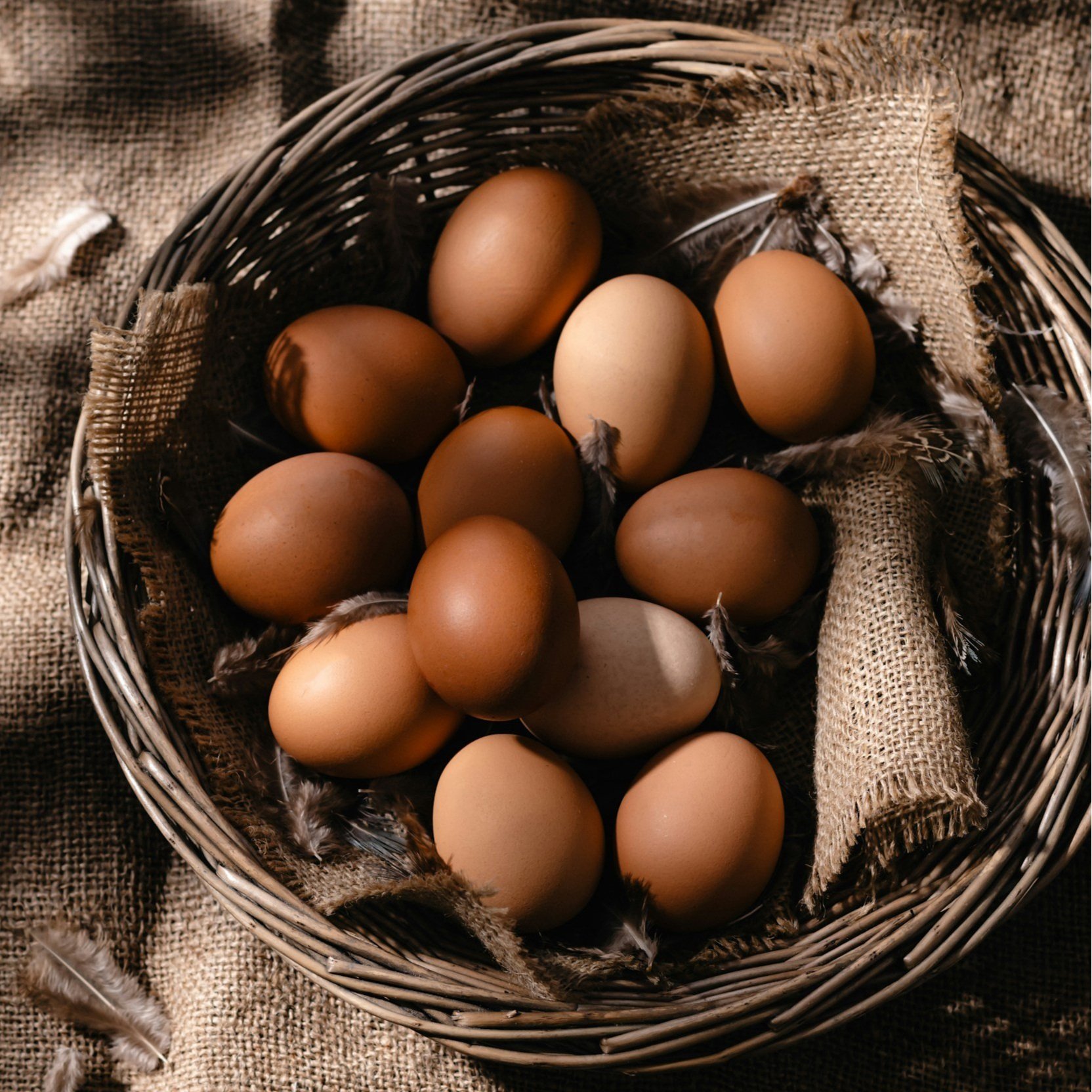 A rustic basket filled with various brown eggs resting on burlap fabric, surrounded by soft feathers, showcasing a natural farm aesthetic.